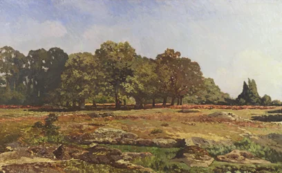 Avenue of Chestnut Trees ved La Celle-Saint-Cloud, ca. 1866-67